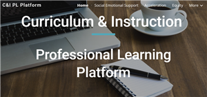 C&I PLP